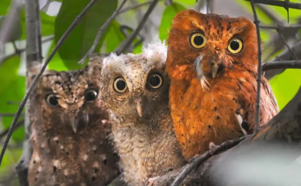 Clipboard_10-01-2025_01a